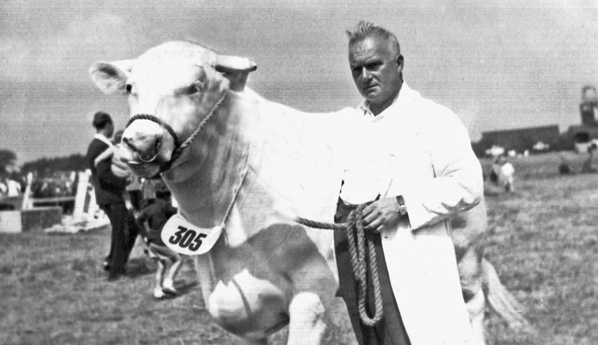 Charlie Nicholson with his white shorthorn bull Sam