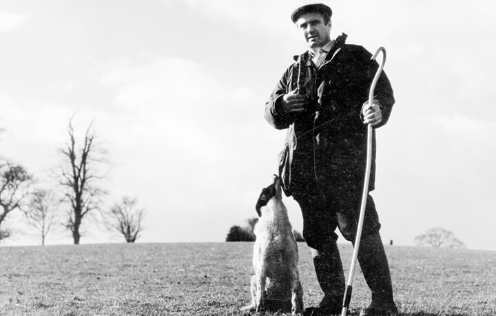 A Slow Start, a Loving Heart